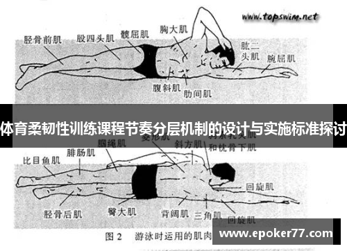 体育柔韧性训练课程节奏分层机制的设计与实施标准探讨